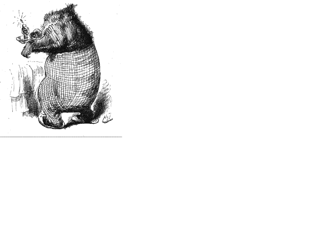 Illustration:A bear without a head