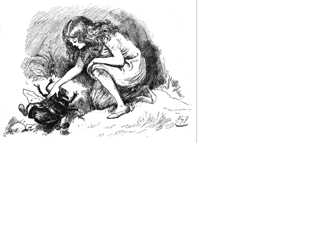 Illustration:Fairy-sylvie