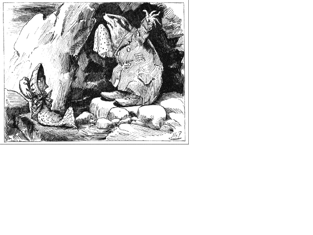 Illustration:Three badgers, writhing in a cave