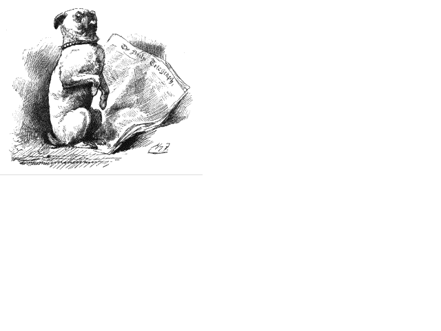 Illustration:The pug-dog sat up