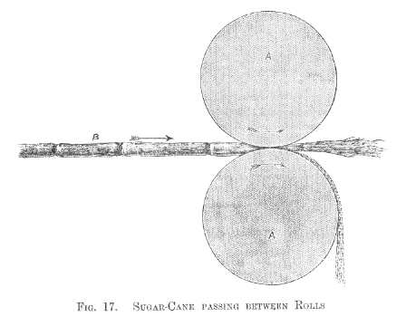 Sugar-cane passing between rolls