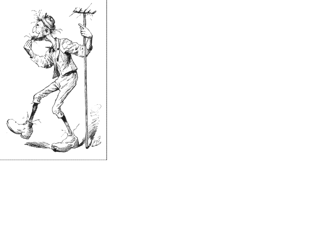 Illustration:The gardener