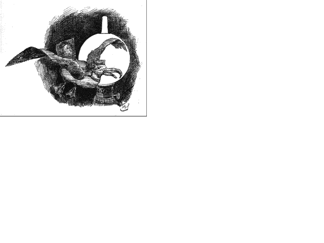 Illustration:He thought he saw an albatross