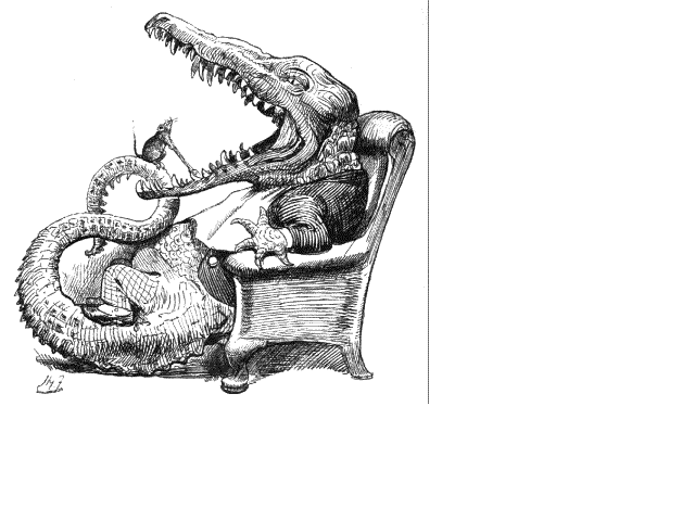 Illustration:He wrenched out that crocodiles toof!