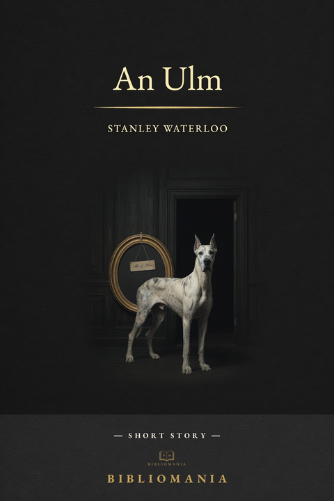 Cover of An Ulm