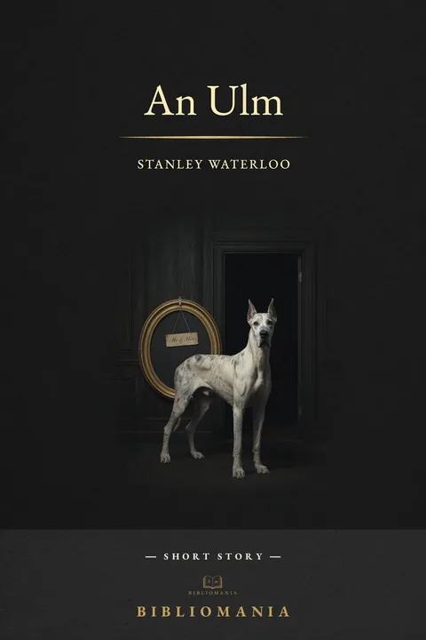 Cover of An Ulm
