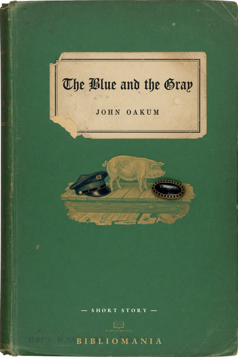 Cover of The Blue and The Gray