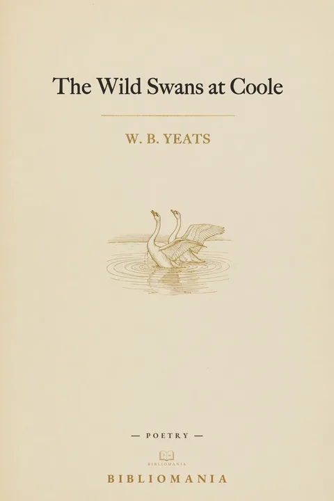 Cover of Wild Swans